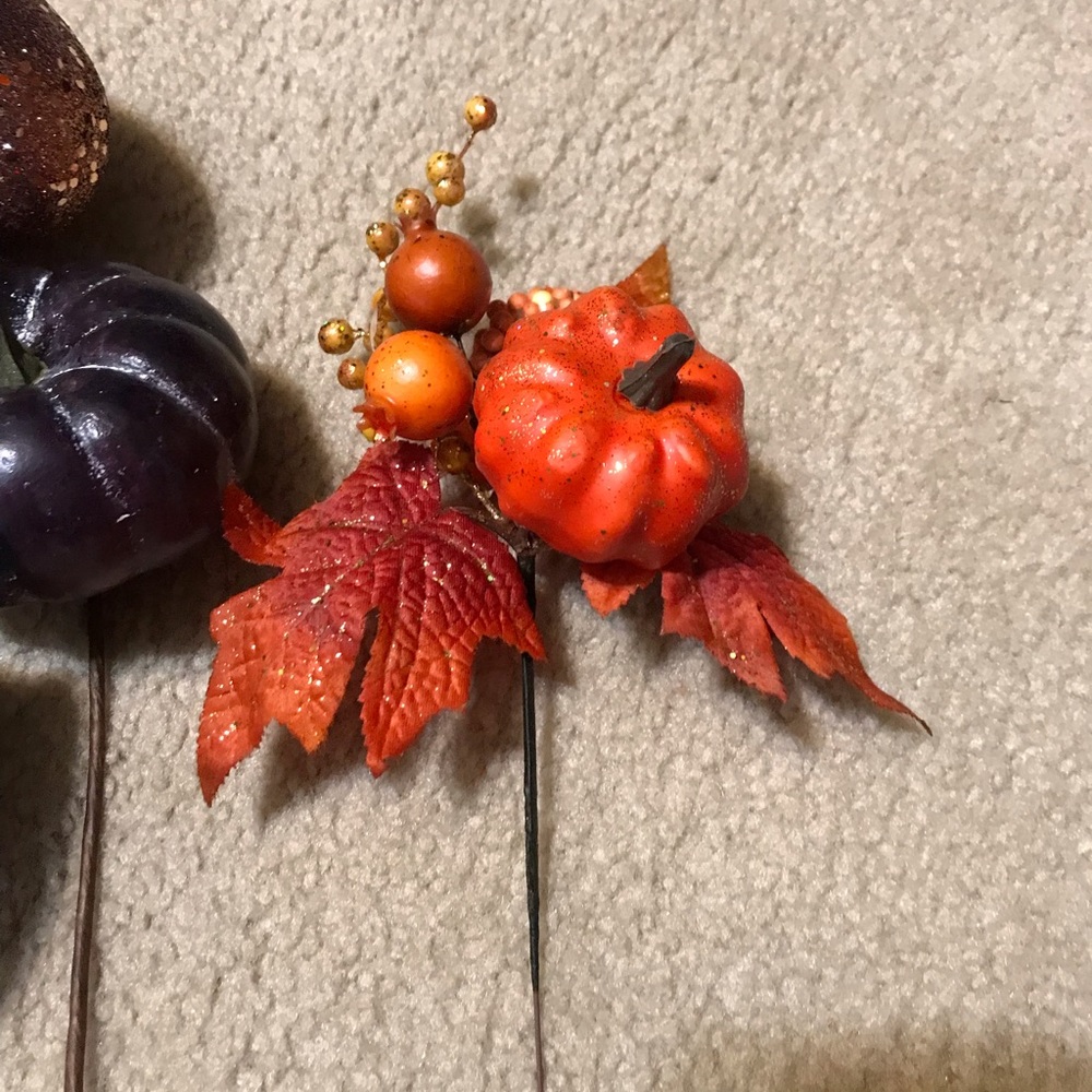 New Fall assorted items - Picture 2 of 7